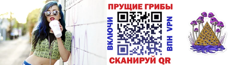 Купить  Сорск  Галлюциногенные грибы мицелий 